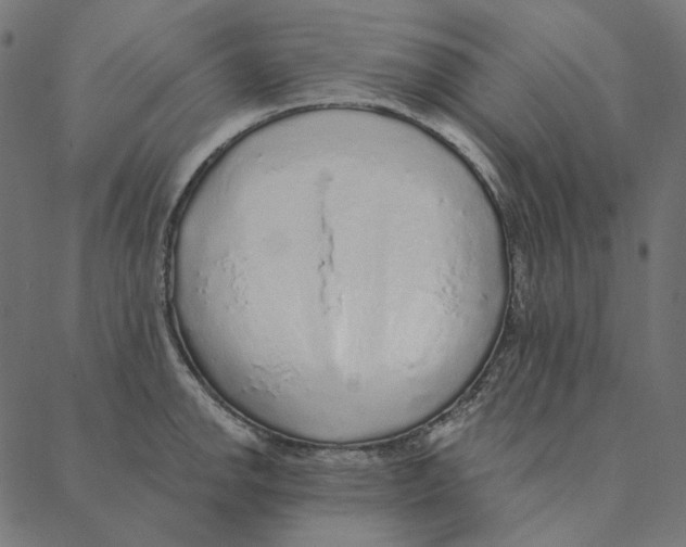 X0000087381142200705181236