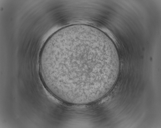 X0000087381143200705181236