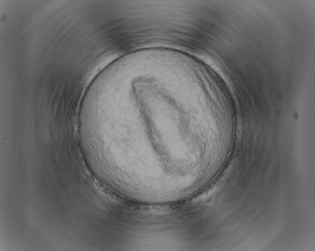 X0000087381145200705181236