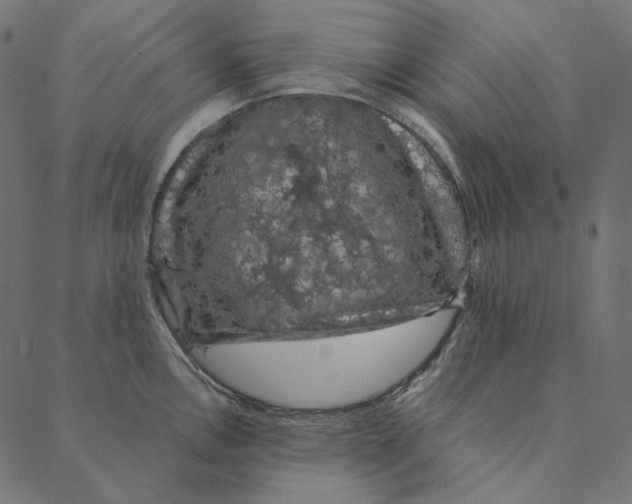 X0000087381146200705181236