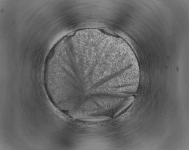 X0000087381147200705181236