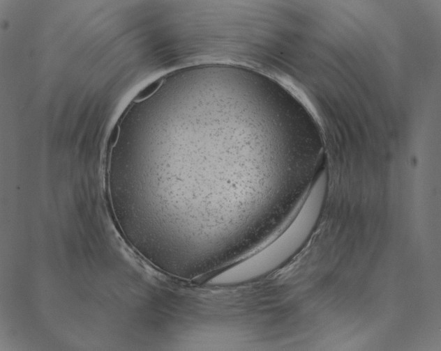 X0000087381148200705181236