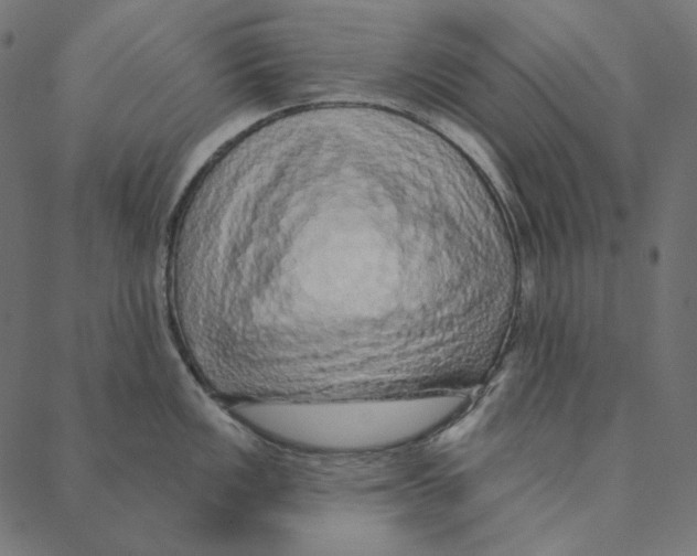 X0000087381149200705181236