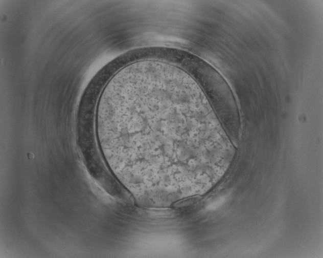 X0000087381152200705181236