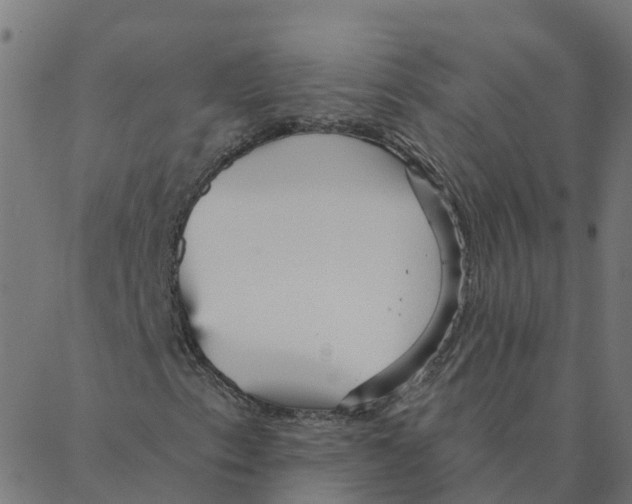 X0000087381153200705181235