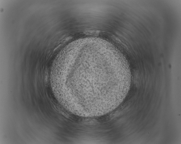 X0000087381154200705181235