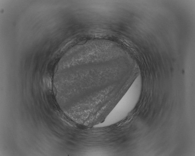 X0000087381155200705181235