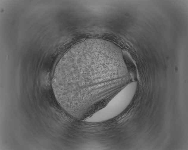 X0000087381156200705181235