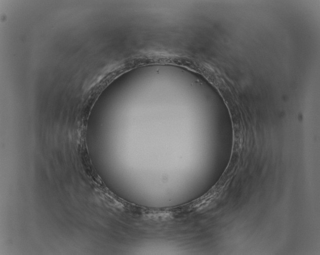 X0000087381157200705181235