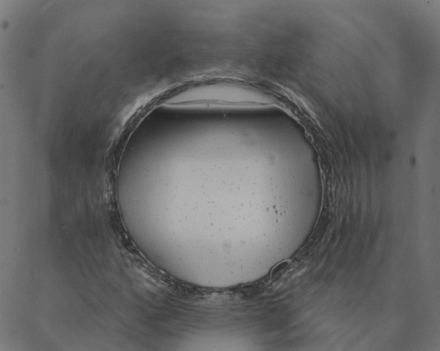 X0000087381160200705181235