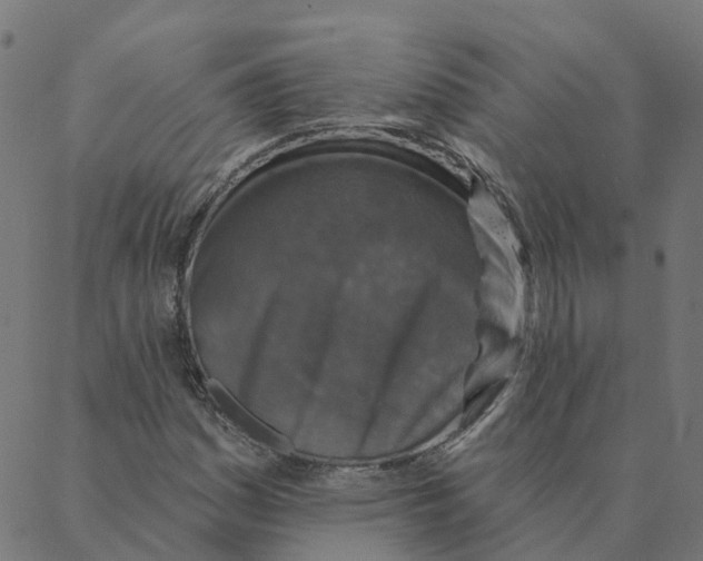 X0000087381161200705181235