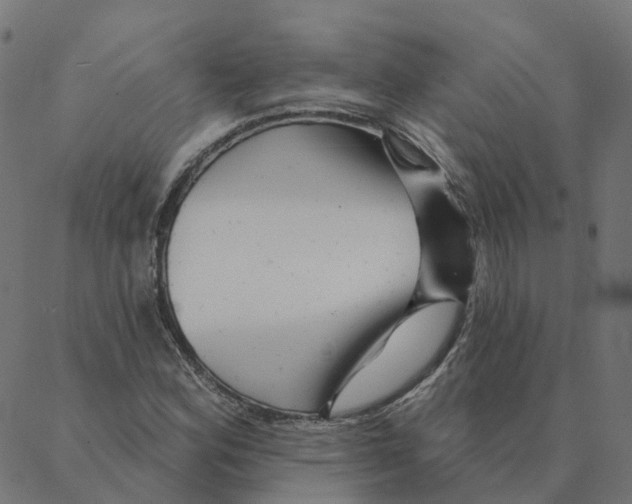 X0000087381164200705181235