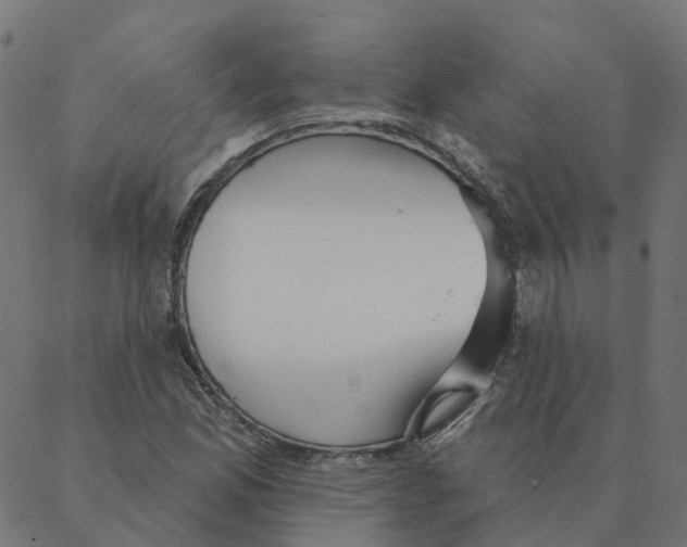 X0000087381165200705181235