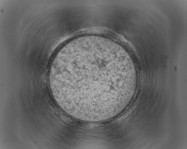 X0000087381166200705181235