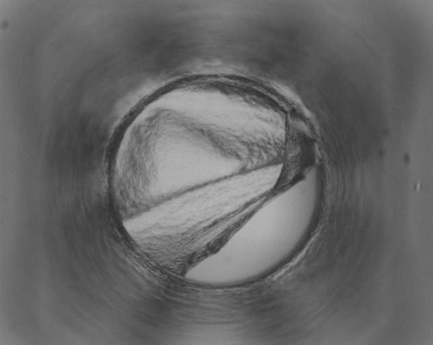 X0000087381167200705181235