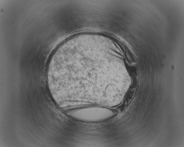 X0000087381168200705181235