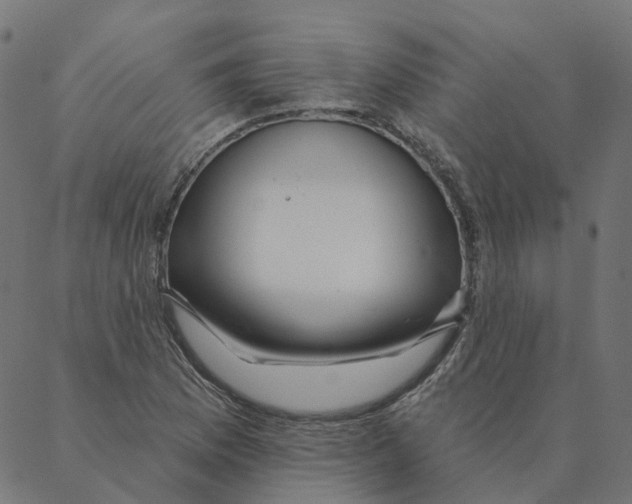 X0000087381169200705181235