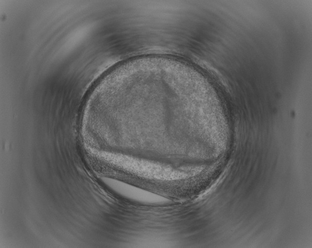 X0000087381170200705181235