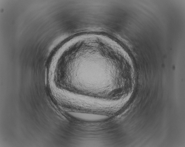 X0000087381171200705181235