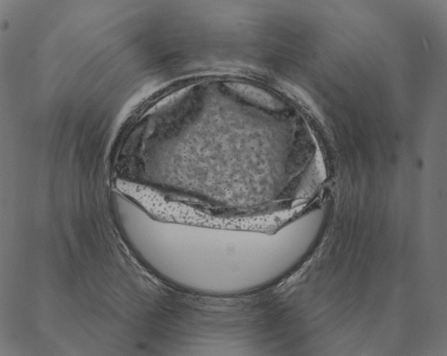 X0000087381172200705181235