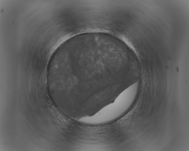 X0000087381173200705181235