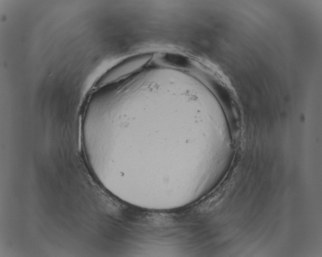 X0000087381175200705181235