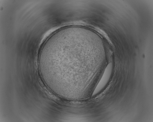 X0000087381176200705181235