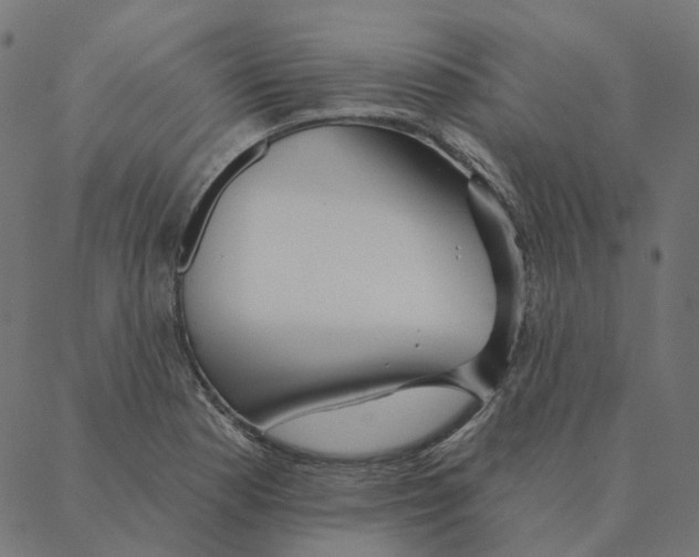 X0000087381177200705181235