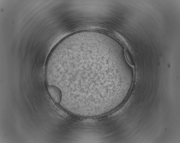 X0000087381178200705181235