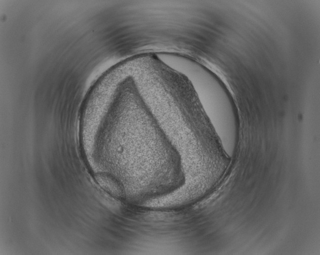 X0000087381179200705181235