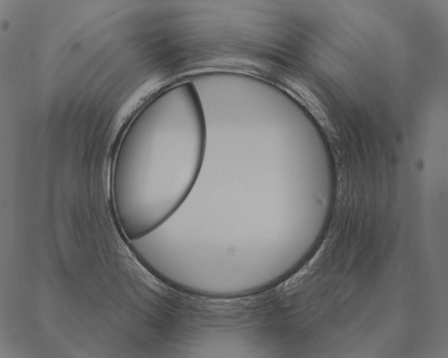 X0000087381180200705181235