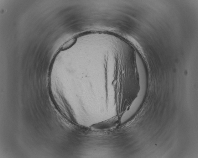 X0000087381183200705181234