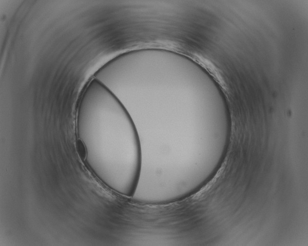 X0000087381184200705181234