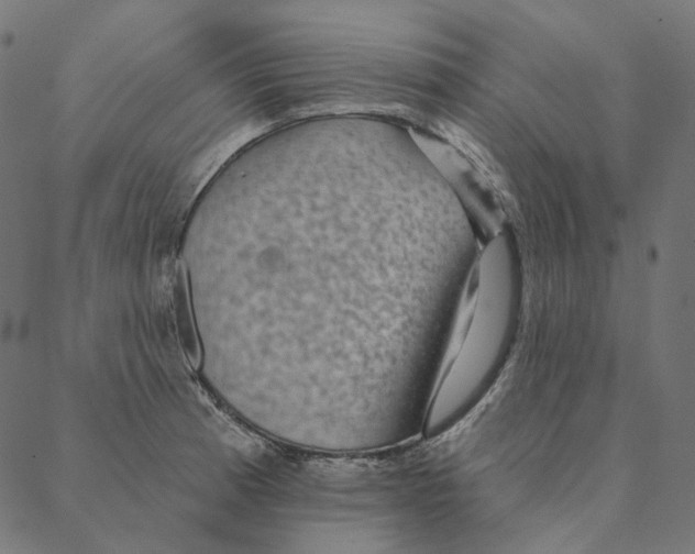 X0000087381185200705181234