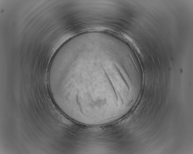 X0000087381186200705181234