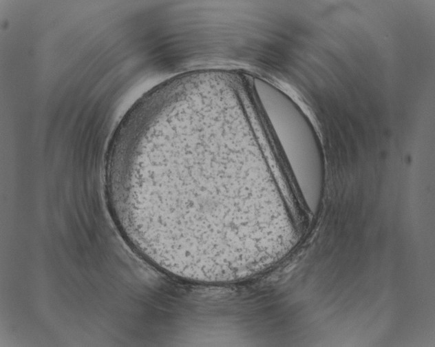 X0000087381187200705181234