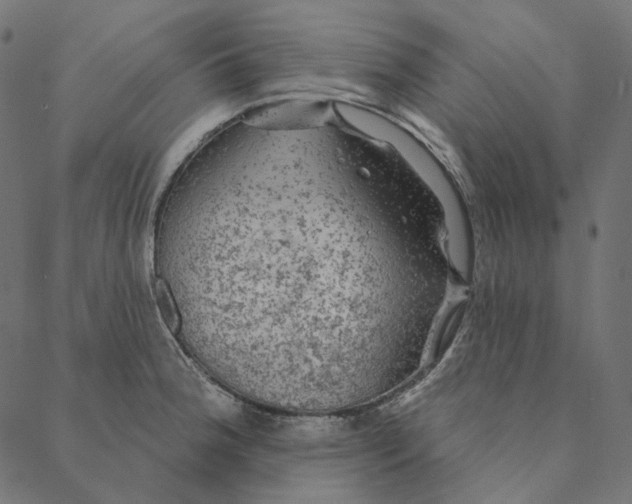 X0000087381188200705181234