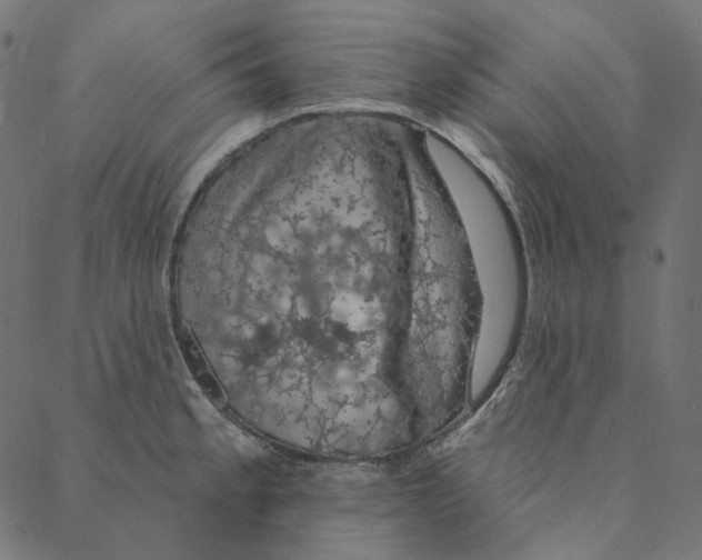 X0000087381189200705181234