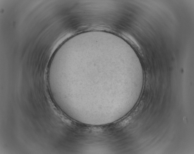 X0000087381190200705181234