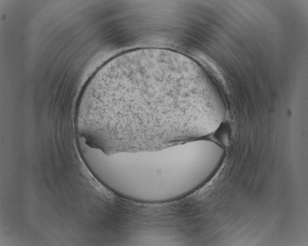 X0000087381192200705181234