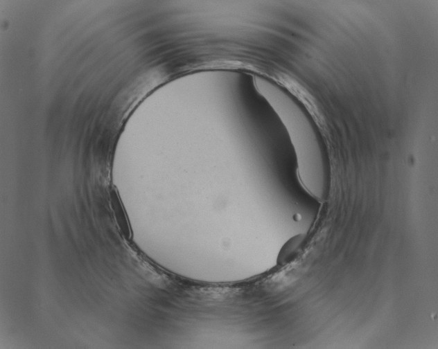 X0000087381193200705181234