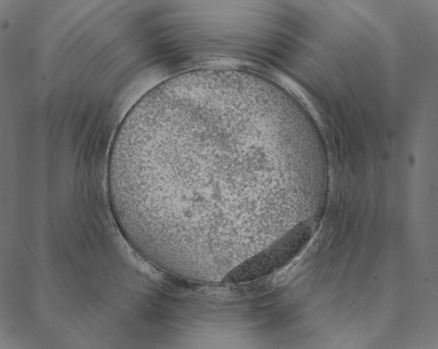 X0000087381194200705181234