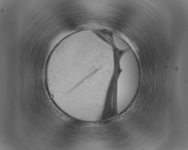 X0000087381195200705181234