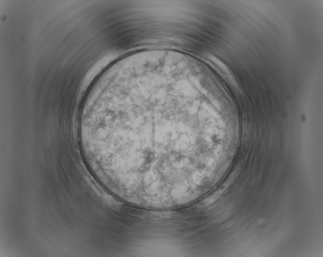 X0000087381196200705181234