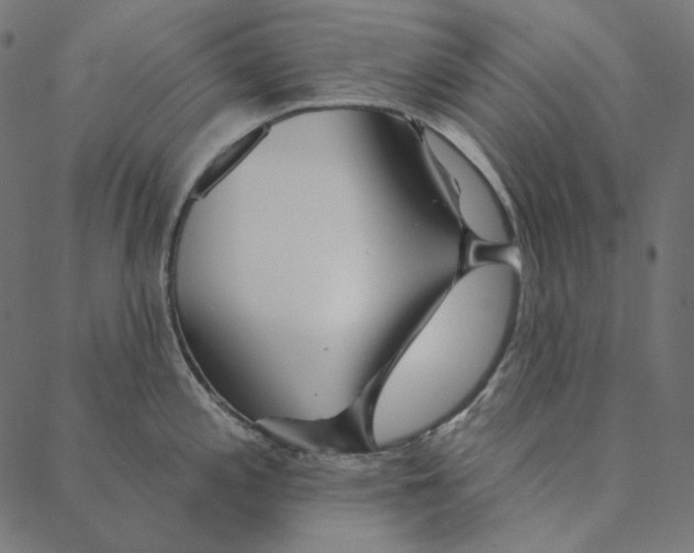 X0000087381197200705181234