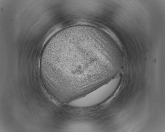 X0000087381198200705181234