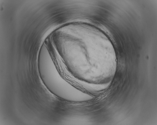 X0000087381199200705181234