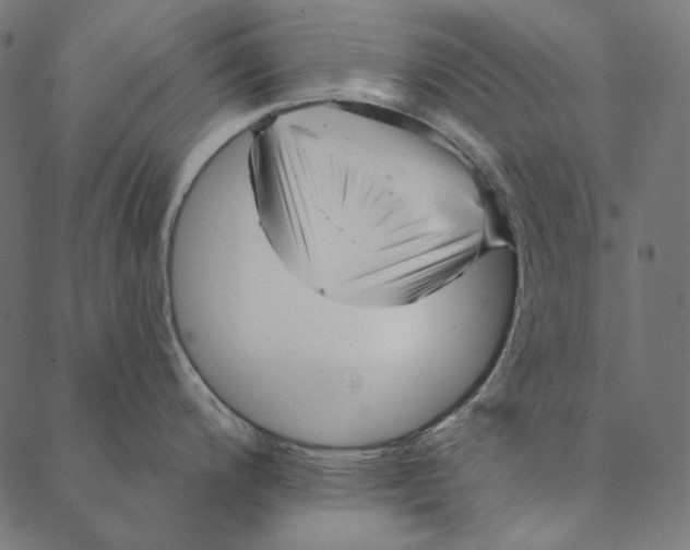 X0000087381200200705181234