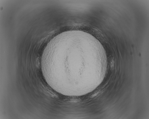 X0000087381204200705181233