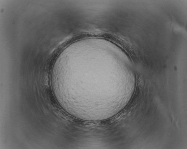 X0000087381205200705181233